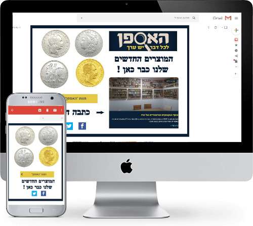 ניוזלטר
