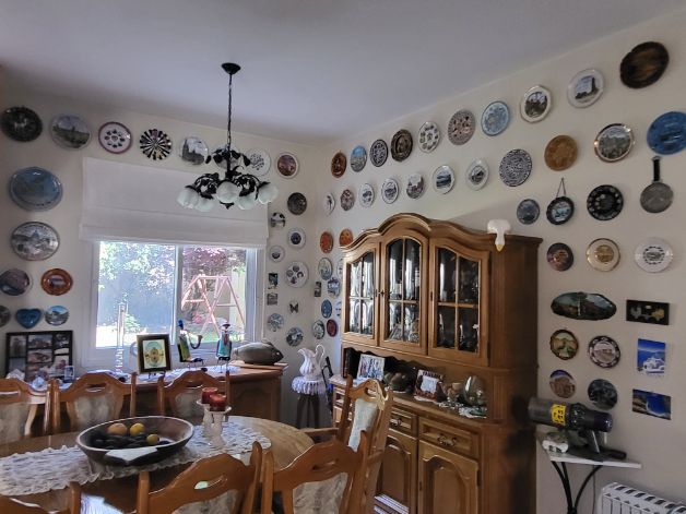 צלחות נוי צלחות נוי